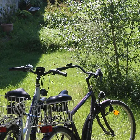 Charmante Mit Terrasse In Steffenshagen