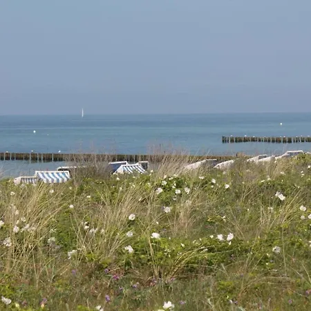 Апартаменты Charmante Mit Terrasse In *