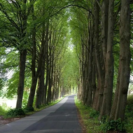 Апартаменты Charmante Mit Terrasse In Steffenshagen