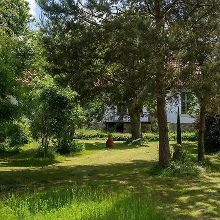Charmante Mit Terrasse In * Steffenshagen