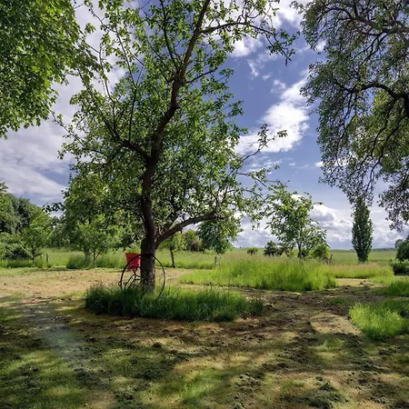 Charmante Mit Terrasse In