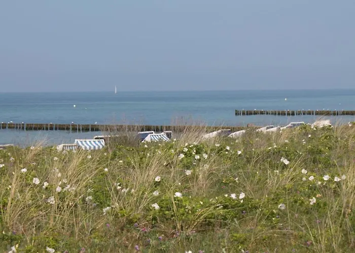 Appartamento Charmante Mit Terrasse In *