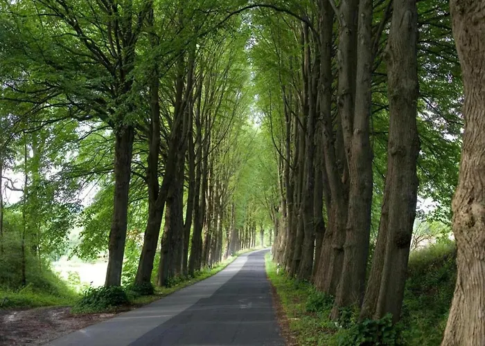 Appartamento Charmante Mit Terrasse In Steffenshagen